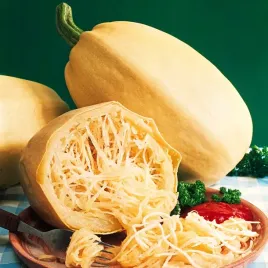 dynia-makaronowa-pyza-sredniopozna-miazsz-makaronowy-nasiona-warzyw-dyni