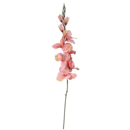 gladiola-jasno-rozowa-70cm