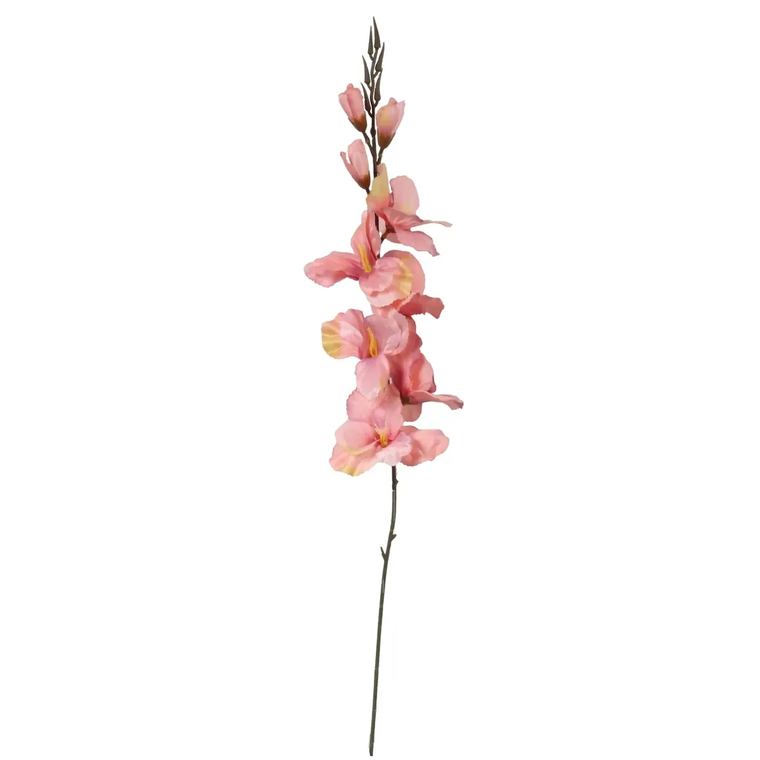 gladiola-jasno-rozowa-70cm-stan-nowy