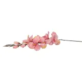 gladiola-jasno-rozowa-70cm-rodzaj-galazki