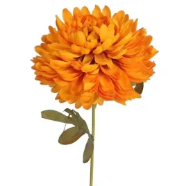 chryzantema-kwiat-pojedynczy-70cm-kolor-rudy