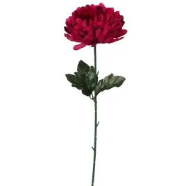 sztuczna-chryzantema-pojedynczy-kwiat-bordo-50cm-dekoracja