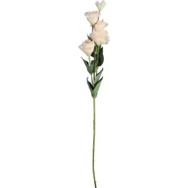 galazka-dekoracyjna-z-6-kremowymi-kwiatami-eustoma-jak-zywa