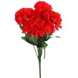 bukiet-7-gozdzikow-kolor-czerwony