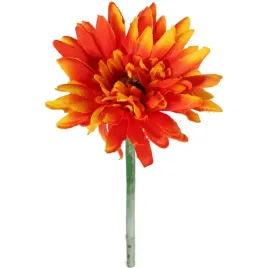 gerbera-kwiat-pojedynczy-kolor-pomaranczowy-iii