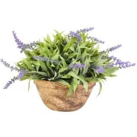 lawenda-w-okraglej-donicy-25-cm