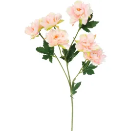 galazka-mini-piwonii-lososiowych-60cm