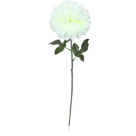 chryzantema-pojedynczy-kwiat-w-kolorze-bialym-70cm