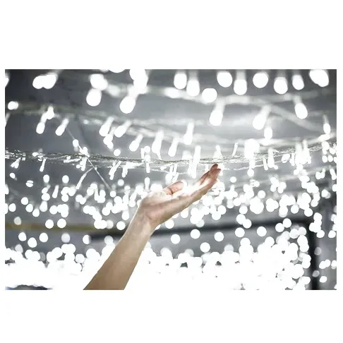 lampki-choinkowe-100-led-typu-ryz-z-programatorem-kolor-lampek-bialy