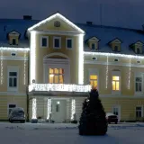 lampki-choinkowe-100-led-typu-ryz-z-programatorem-zastosowanie-wewnatrz