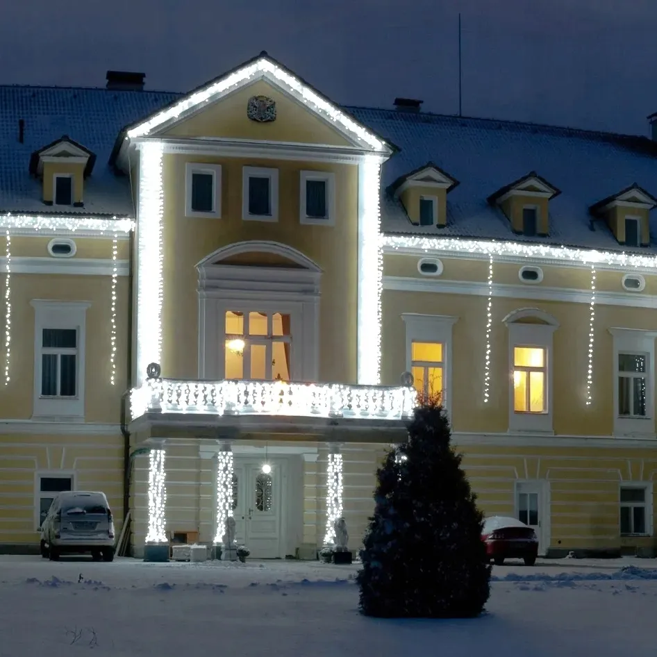 lampki-choinkowe-100-led-typu-ryz-z-programatorem