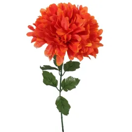 chryzantema-pojedynczy-kwiat-20cm-pomaranczowy