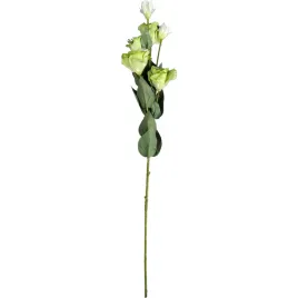 zielona-galazka-eustoma-z-6-kwiatami-dekoracja-naturalnej-urody