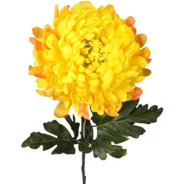 chryzantema-duza-pojedyncza-w-kolorze-zoltym-86cm