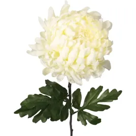 chryzantema-pojedynczy-kwiat-duza-ekskluzywna-w-kolorze-bialym-80-cm