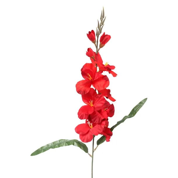 gladiola-czerwona-70cm