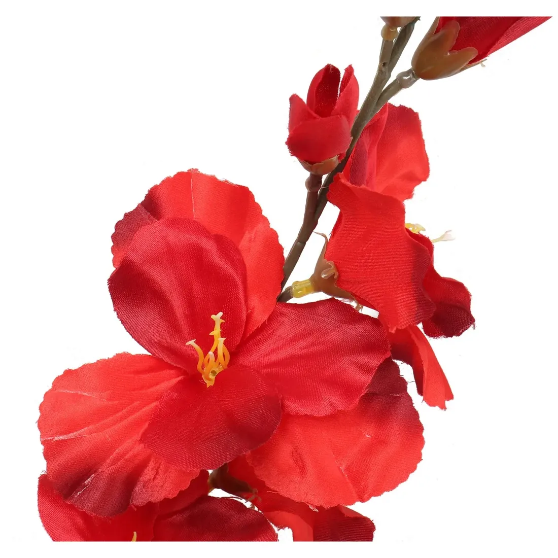 gladiola-czerwona-70cm-stan-nowy