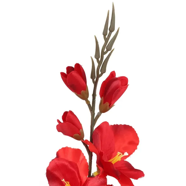 gladiola-czerwona-70cm-rodzaj-bukiety