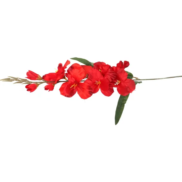 gladiola-czerwona-70cm-waga-z-opakowaniem-0-1-kg