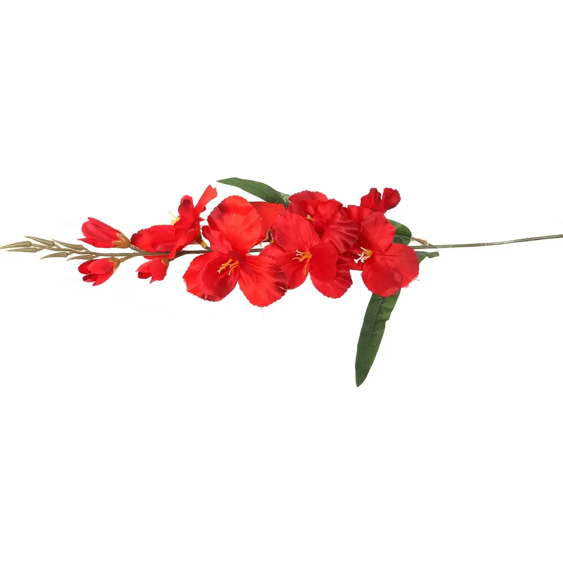 gladiola-czerwona-70cm-stan-nowy