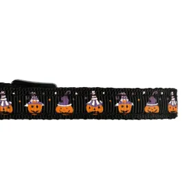 obroza-dla-zwierzat-w-kolorze-czarnym-ze-wzorem-halloween
