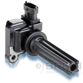 cewka-zaplonowa-bremi-20471