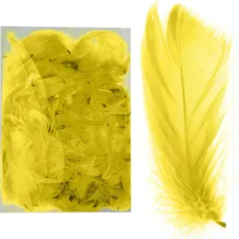 piorka-zolte-pioro-ozdobne-dekoracyjne-kolorowe