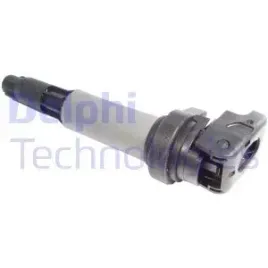 cewka-zaplonowa-delphi-gn10210-12b1