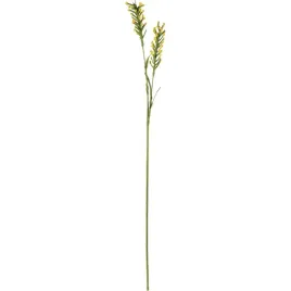 galazka-jaglana-30cm-zolta-dodatek-do-bukietow-stroikow-ozdoba-goliat