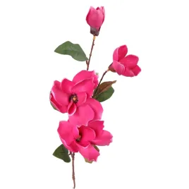 galazka-4-magnolii-w-kolorze-ciemnorozowym