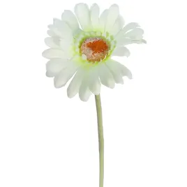 gerbera-dekoracyjna-wygladajaca-jak-zywa-kolor-bialo-zielony-55cm
