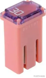 bezpiecznik-herth-buss-elparts-50295355