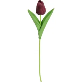 tulipan-gumowany-pojedynka-kolor-fioletowy