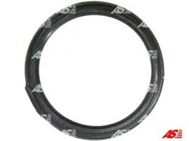 zestaw-naprawczy-alternator-as-pl-sdk3004