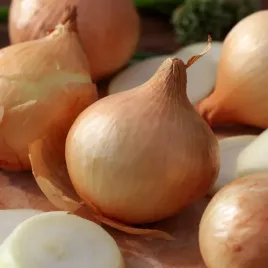 cebula-wiktoria-skierniewic-nasiona-warzyw-okazale-cebule-polska-odmiana