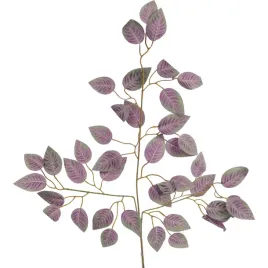 lisc-galazka-potrojna-beniamina-kolor-fioletowy-60cm-dodatek-do-kompozycji