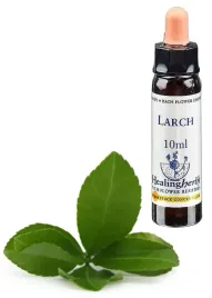 esencja-dr-bacha-nr-19-larch-modrzew-europejski-10-ml
