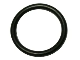 pierscien-gumowy-bosch-1-460-210-321
