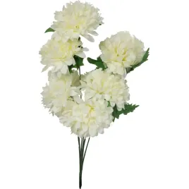 bukiet-7-chryzantem-72cm-bialy-goliat-kwiaty