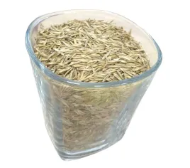 zycica-westerwoldzka-nasiona-koga-1kg