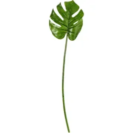 lisc-zielony-filodendrona-66cm-dodatek-do-stroikow-kompozycji