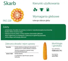 nasiona-kukurydzy-kukurydza-skarb-vitavax-zapr-pl126-61-91-b403a