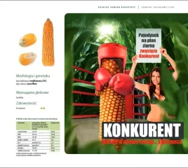 nasiona-kukurydzy-kukurydza-konkurent-fao-240