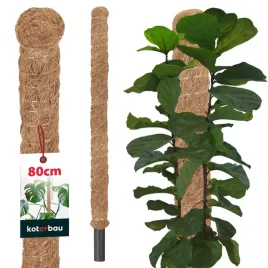 podpora-do-roslin-80-cm-tyczka-palka-z-wlokna-kokosowego-palik-kokosowy-32