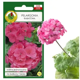 pelargonia-rabatowa-jednoroczna-f1-kolor-rozowy-nasiona-pelargonii