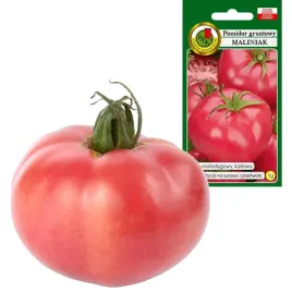 pomidor-maliniak-smaczny-soczysty-duzy-owoc-niska-uprawa-nasiona-1g