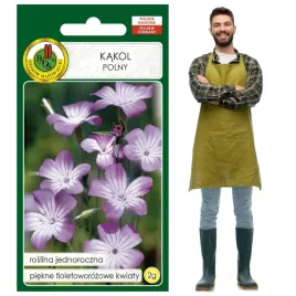 kakol-polny-kwiat-jednoroczny-fioletoworozowy-2g