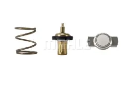 termostat-srodek-chlodzacy-mahle-tx-328-83d