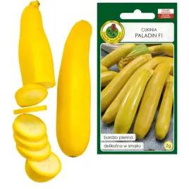 dynia-cukinia-paladin-f1-delikatna-bardzo-plenna-owoc-do-2kg-nasiona-2g