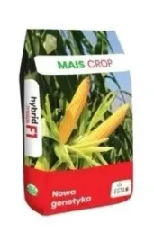 nasiona-kukurydzy-kukurydza-camarinio-fao-240-250-k